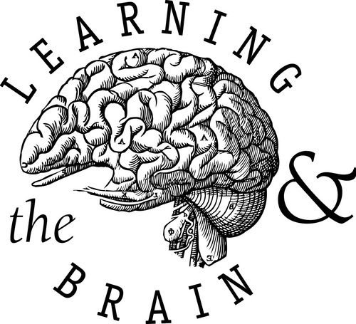 Learning & the Brain